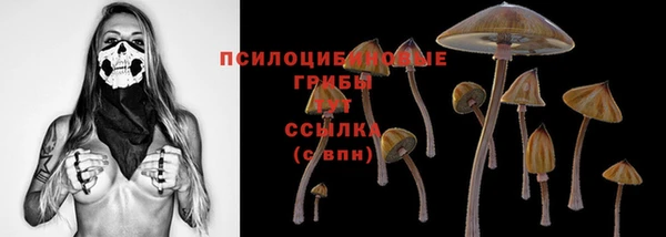 синтетический гашиш Гусев
