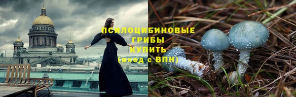 мяу мяу кристалл Гусь-Хрустальный