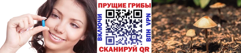 Купить  Любим  Галлюциногенные грибы мицелий 